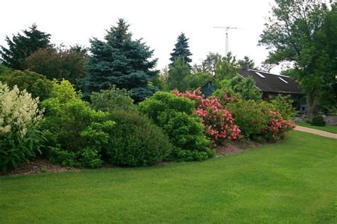 13 best images about Shrub Borders on Pinterest