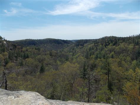 Red River Gorge, Kentucky - Floradise