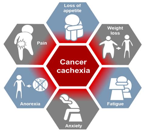 Cancer Cachexia Therapy Market Has a Huge Demand to Boost Exponential ...