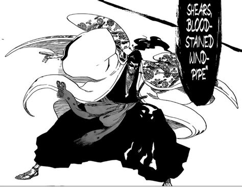 Shunsui Kyoraku Bankai | Mangá bleach, Anime, Bleach personagens