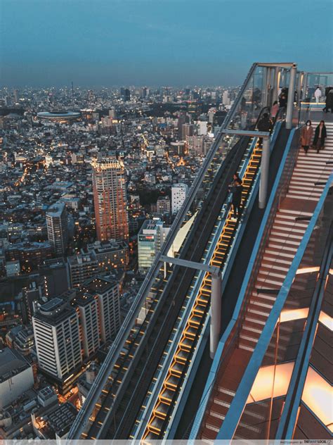 Shibuya Scramble Square: A Guide To Tokyo's Newest & Most Instagenic Attraction - TheSmartLocal ...