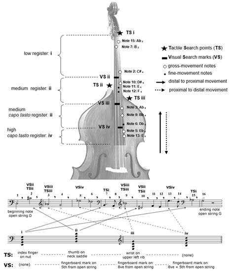 Double Bass Strings Notes | Guitar