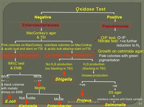 Enterobacteriaceae Identification Chart