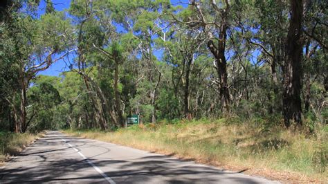 Walks + Hiking — Visit Mornington Peninsula.