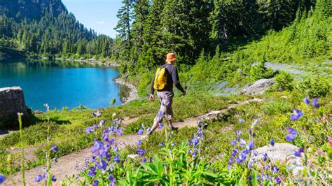 6 Top Hikes in Utah (Best Trails & Pictures) | Alta Chalets