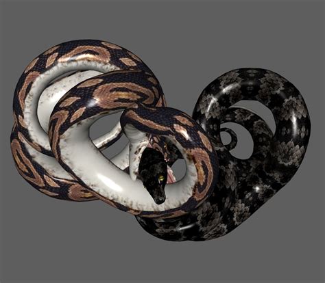 3D Python attack | CGTrader