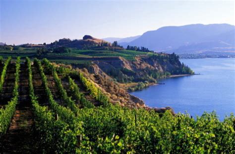 BC Wines: Top 25 List from the Okanagan Valley, British Columbia - Natalie MacLean