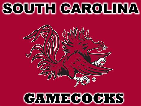 South Carolina Gamecocks Football Wallpapers - WallpaperSafari