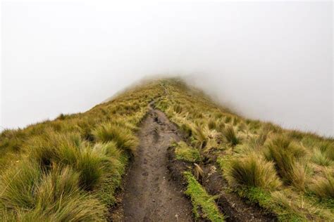 Hiking 15,407ft to the Top of the Pichincha Volcano in Ecuador | Paisaje increibles, Paisajes ...