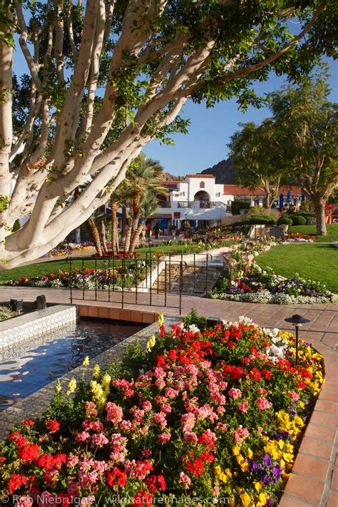 La Quinta, California | near Palm Springs, California. | Photos by Ron Niebrugge