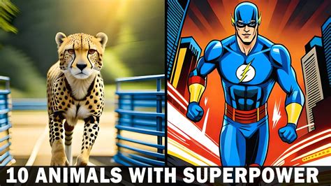 10 Animals with Superpowers You Won't Believe! - YouTube