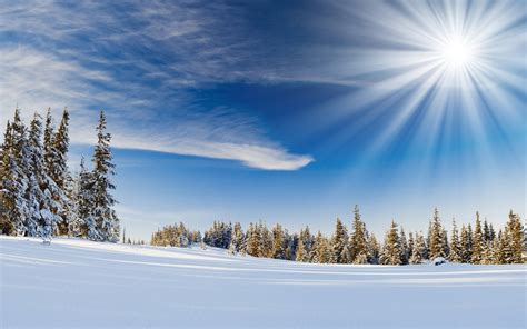 Sun, Beams, Light, Snow HD wallpaper | Wallpaper Flare