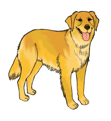 Golden Retriever Cartoon Clipart | Free download on ClipArtMag