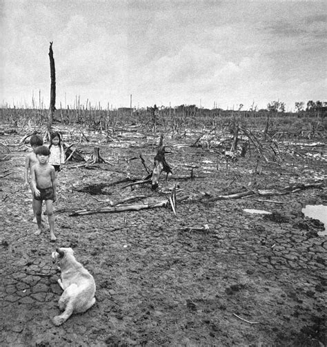 The Effects of the defoliant Agent Orange, 1968 ~ Vietnam War | Vietnam War | Pinterest