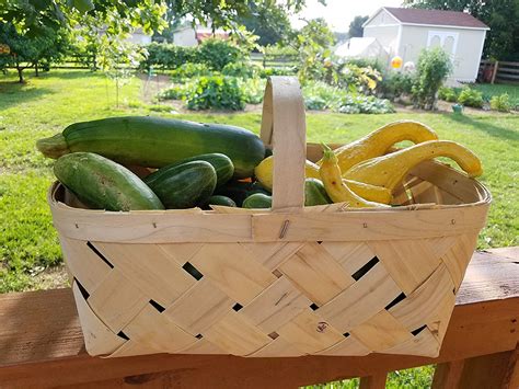 Sturdy Wood Woven Produce Basket Set of 3 Garden, Farm, Fruit ...