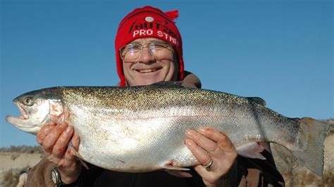 Northwest Salmon and Steelhead Fishing: Lake Chelan Reports - Anton ...