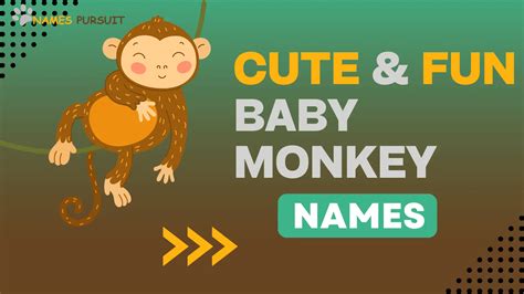 Baby Monkey Names (Cute & Fun)