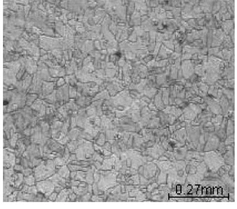 Microstructures of austenitic 316L SS revealing polygonal grain... | Download Scientific Diagram