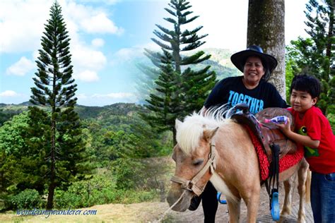 Picnic Grove - Tagaytay City, Cavite | Wondering Wanderer Travel Blog