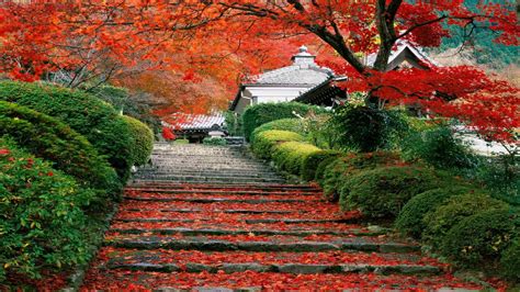 Japan, Landscape, Fall, Cherry Trees, Stairs, Leaves Wallpapers HD / Desktop and Mobile Backgrounds