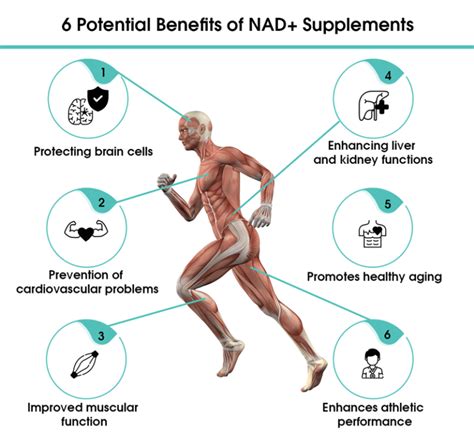 NAD Supplements: Forms, Usage, Benefits