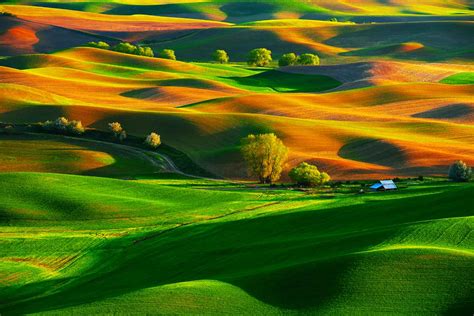 Palouse #1 – Seoho Photography