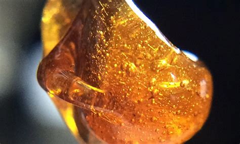 Marijuana Rosin Is Making Headways - Marijuana Retail Report