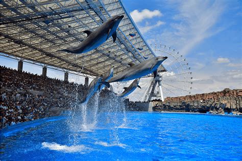 Port of Nagoya Public Aquarium | Sightseeing Spots NAGOYA | Kintetsu Railway Co.,Ltd.