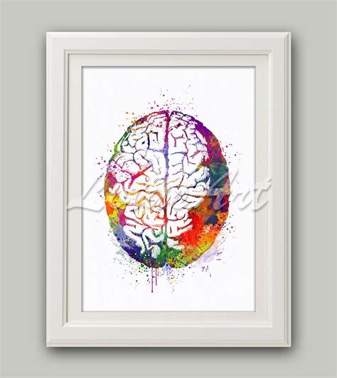 Human Brain Anatomy Art Watercolor Print Science Art Neurology | Etsy