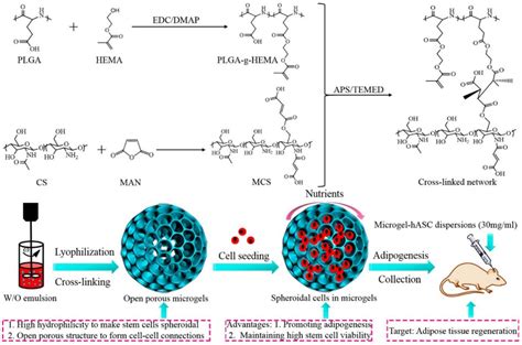 Polymers | Free Full-Text | Stimuli-Responsive Microgels and Microgel-Based Systems: Advances in ...