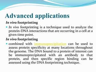 Dna footprinting | PPT