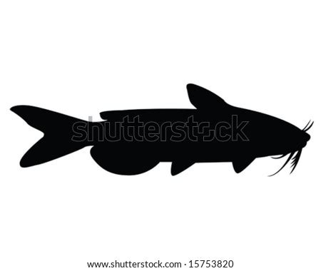 Catfish Vector Illustration - 15753820 : Shutterstock