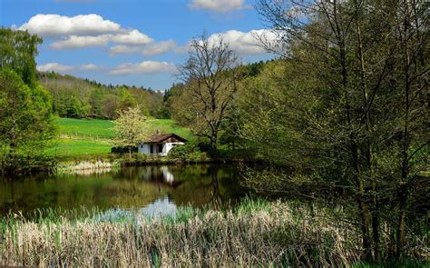 Canvas Print Thuringia Germany Forest Landscape Thuringian Forest Stretched Canvas 10 x 14 ...