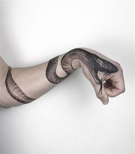 Snake Wrapped Around Forearm & Hand