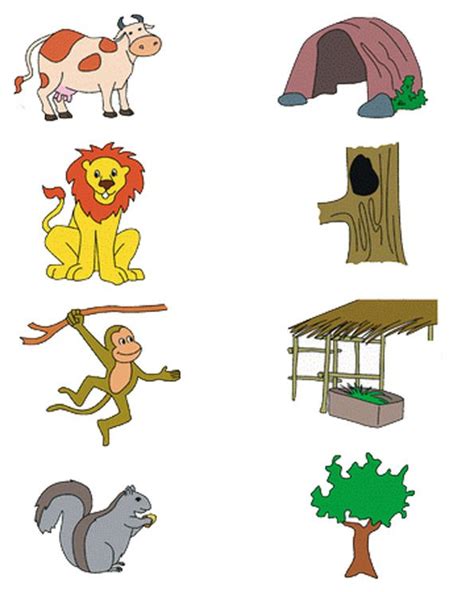 Animals And Their Habitat Worksheets