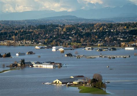 1.3 million farm animals dead due to climate change: What can B.C. do to stop the next ...