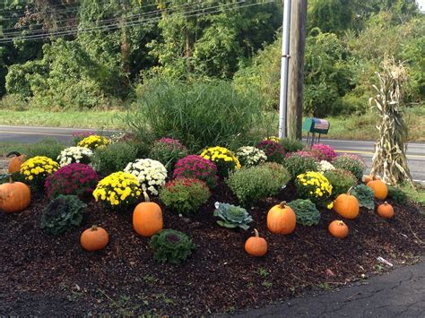 Fall — Country Flower Farms Garden Center