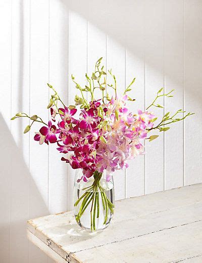 Dendrobiums (Pre Order) | M&S | Flower garden plans, Flower ...