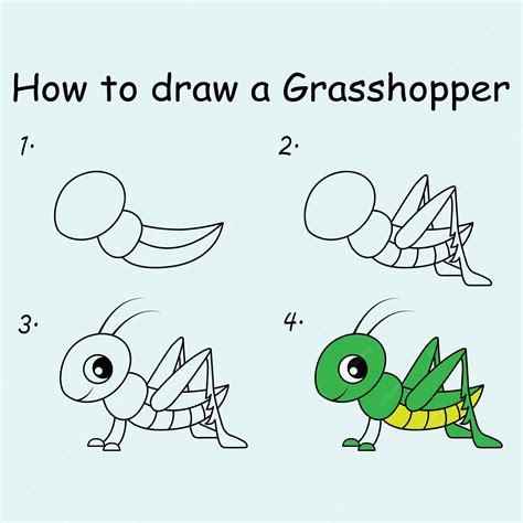 Premium Vector | Step by step to draw a Grasshopper Drawing tutorial a ...