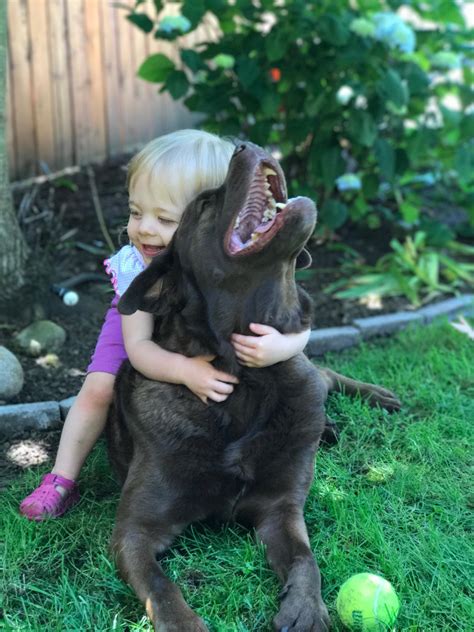 Otto the dog with my daughter. They're best friends. : r/dogpictures