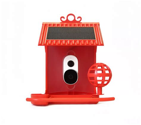 Hello Birdie Solar Roof Smart Bird Feeder & Accessories - QVC.com