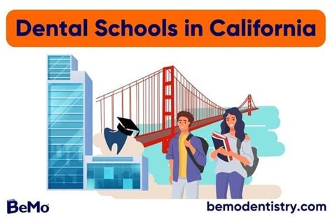 Dental Schools in California: Stats and Requirements | BeMo®