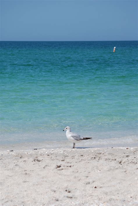 Hamtpons Beaches - Beautiful Waters on One of Long Island's Most Iconic Areas | LongIsland.com