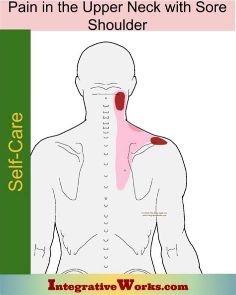 Pain Between Shoulder Blades: Pain Patterns, Causes, Self-Care - Integrative Works