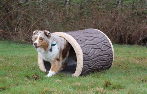 NatureDog™ Terrier Dog Park Log Tunnel