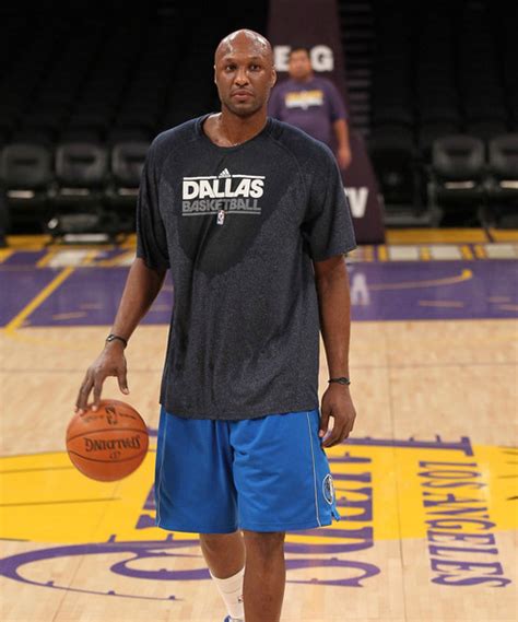 Lamar Odom | Basketball Wiki | Fandom