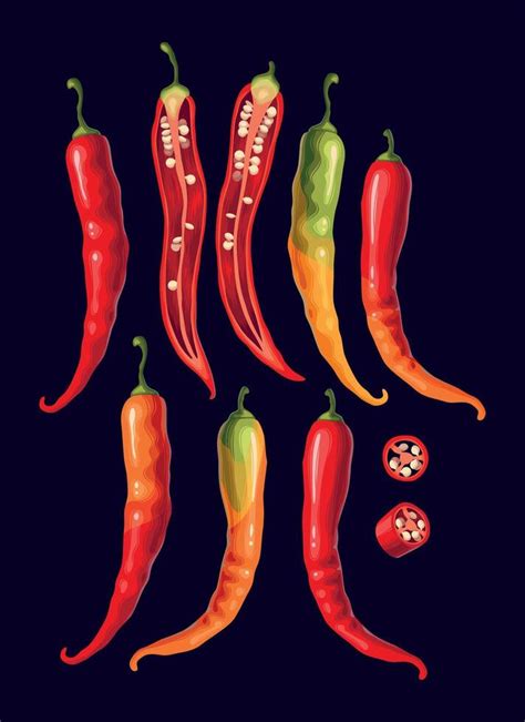 Chili peppers set isolated on white background 40521779 Vector Art at ...