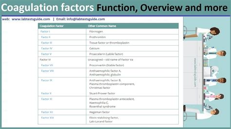 Blood Clotting factors | Lab Tests Guide