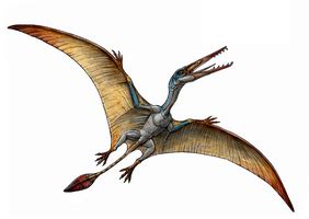 GT Reading Test 18 Section 3 - Pterosaurs