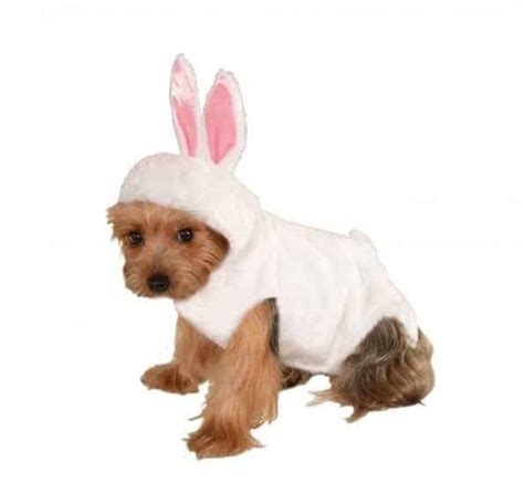 Bunny Dog & Cat Costume - Pet Costume Center